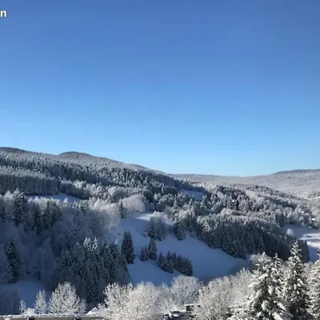Apartment 2 Pieces Renove 36 M² - Sud Avec Vue Montagne *